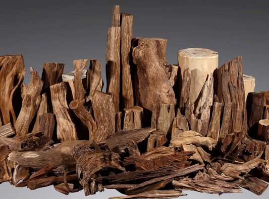 Agarwood: A Precious and Mysterious Natural Treasure